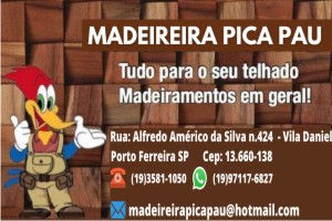 MADEIREIRA PICA PAU 